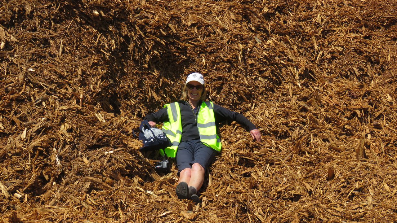 'Conspicuous' absence: Countdown Head of Sustainability no-show at Silver Fern Farms Conference