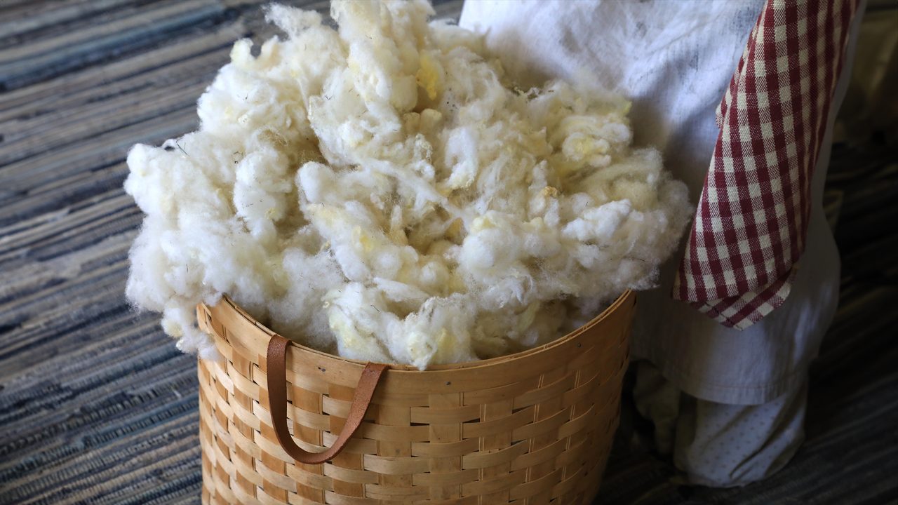 Wool Impact's revolutionary hub: Transforming NZ's strong wool industry