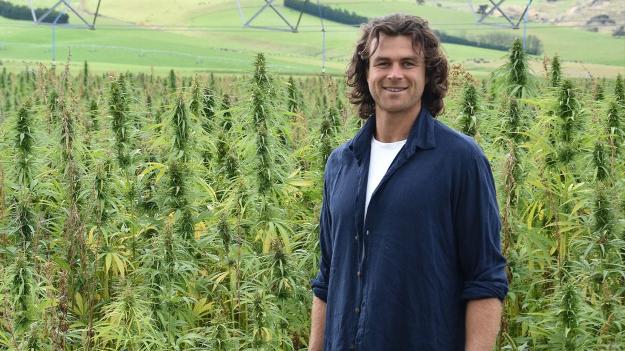 Hemp products & holistic health: A discussion with Brad Lake