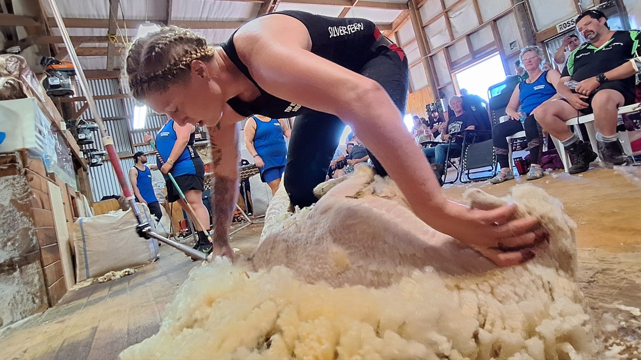 Kiwi Shearer smashes World Record in herculean effort