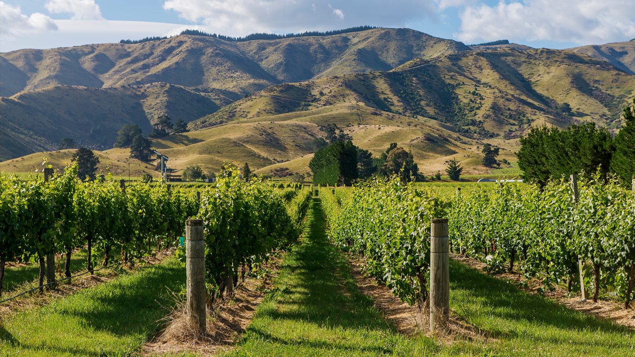 Te Whare Ra Wines Co-Owner Enthused By Industry Direction