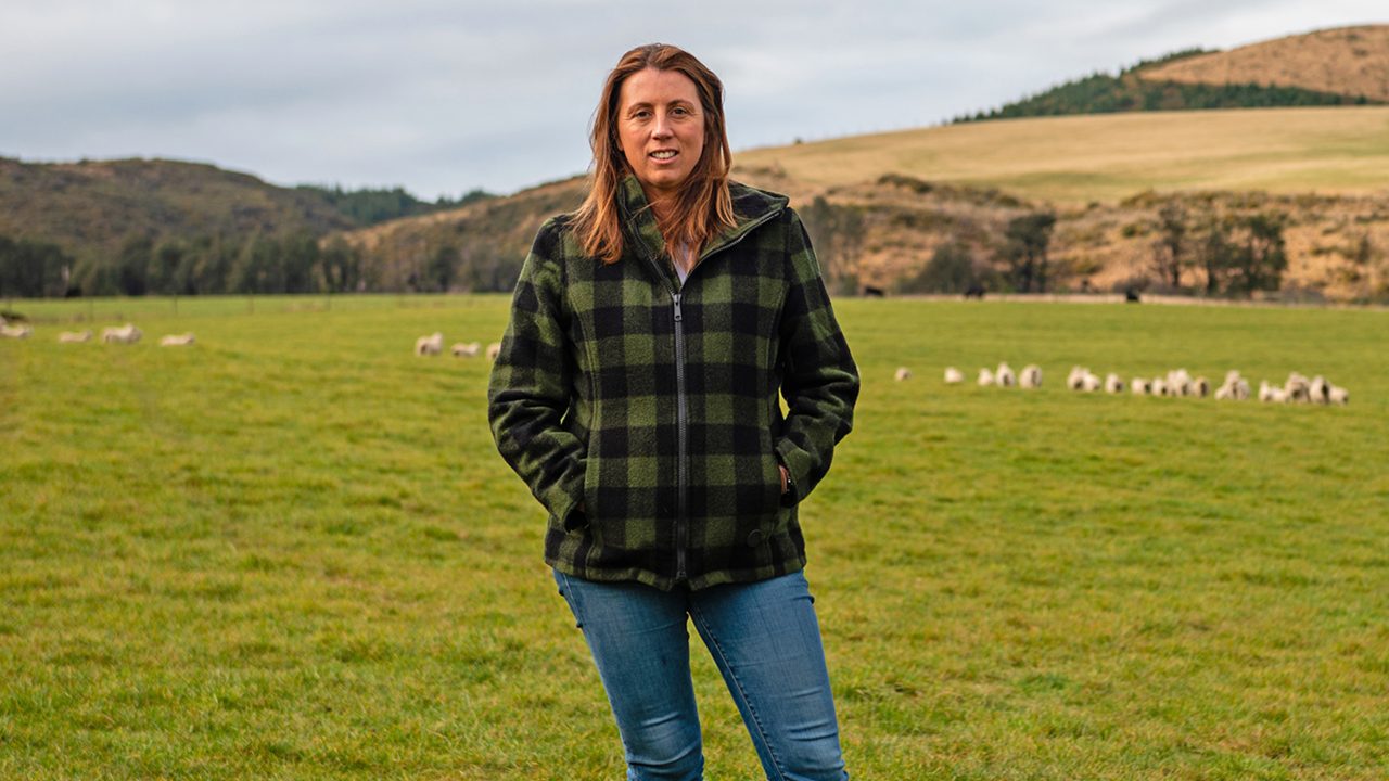 Nitrogen loss takes a dive: Canterbury's dairy farms on a green streak