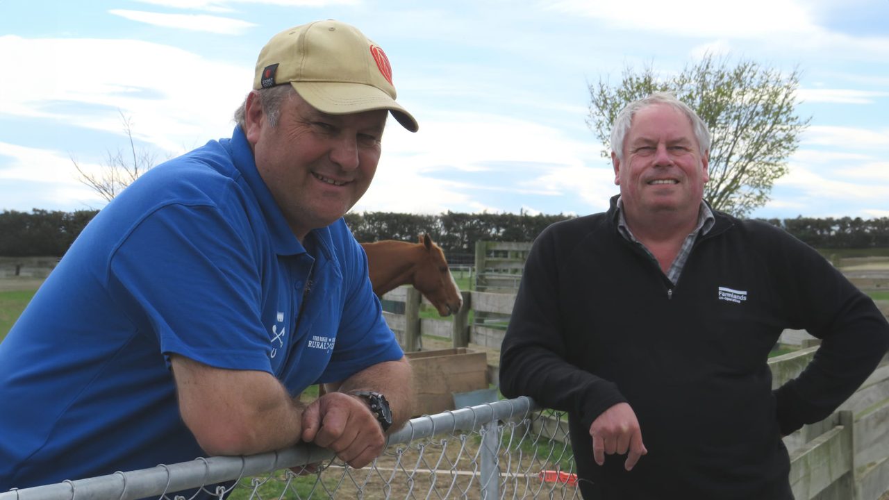 Rural resilience: Uniting NZ communities post-cyclone + supporting mental health on farm 