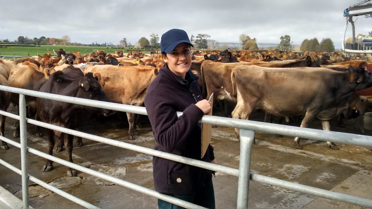'Dairy Farming Saved My Life' NZDIA Regional Winner Making Second Chance Count