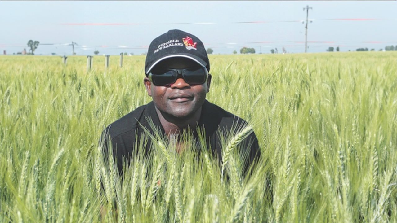 From Zimbabwe To New Zealand: Tafi Manjala's Inspiring Journey In Agribusiness