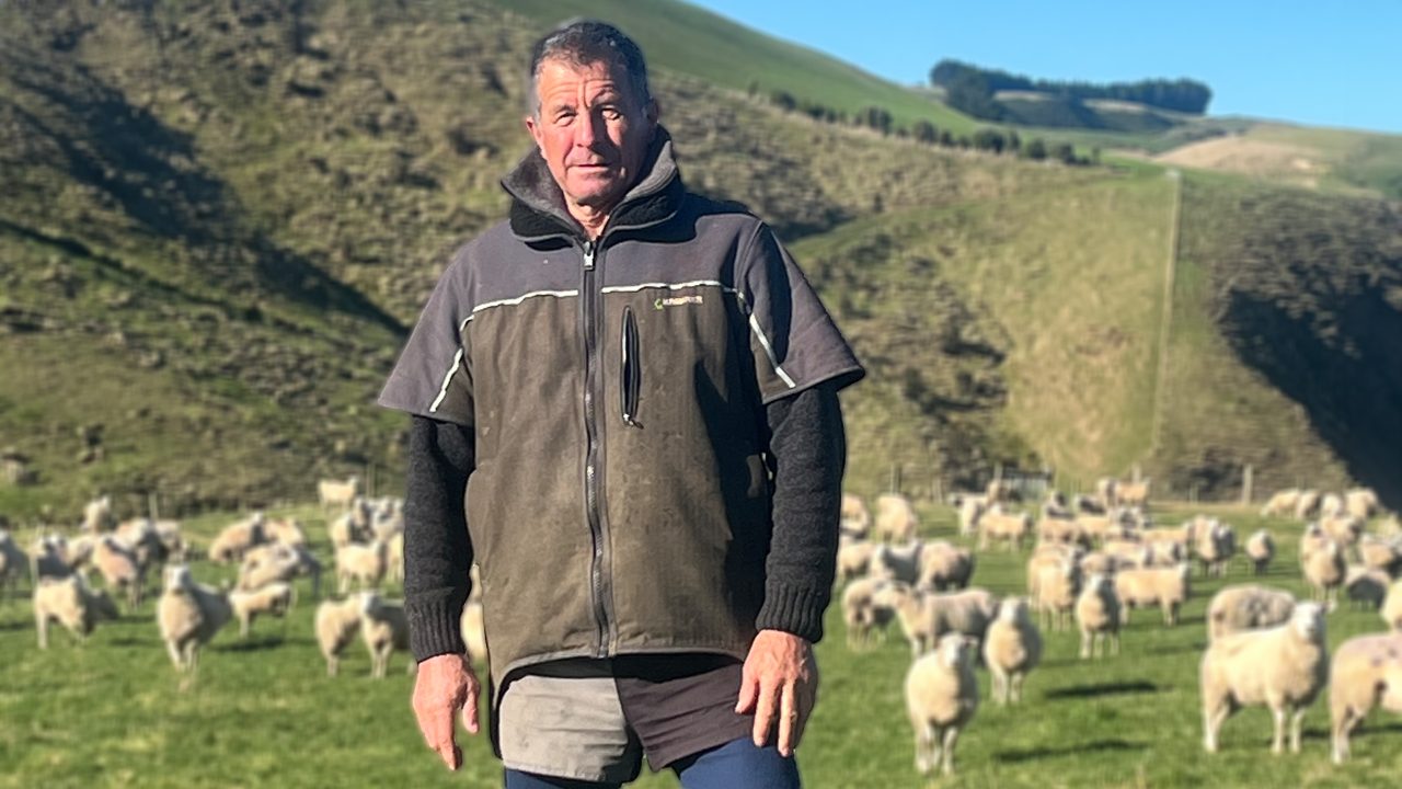Beyond Plastic: Hawke's Bay Farmers Forge A Greener Path For Tree Guards