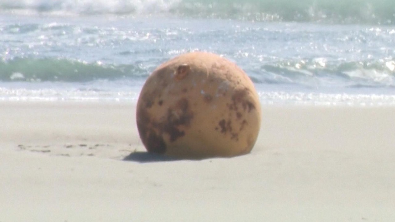 Mysterious sphere appears on Japanese beach, officials investigate